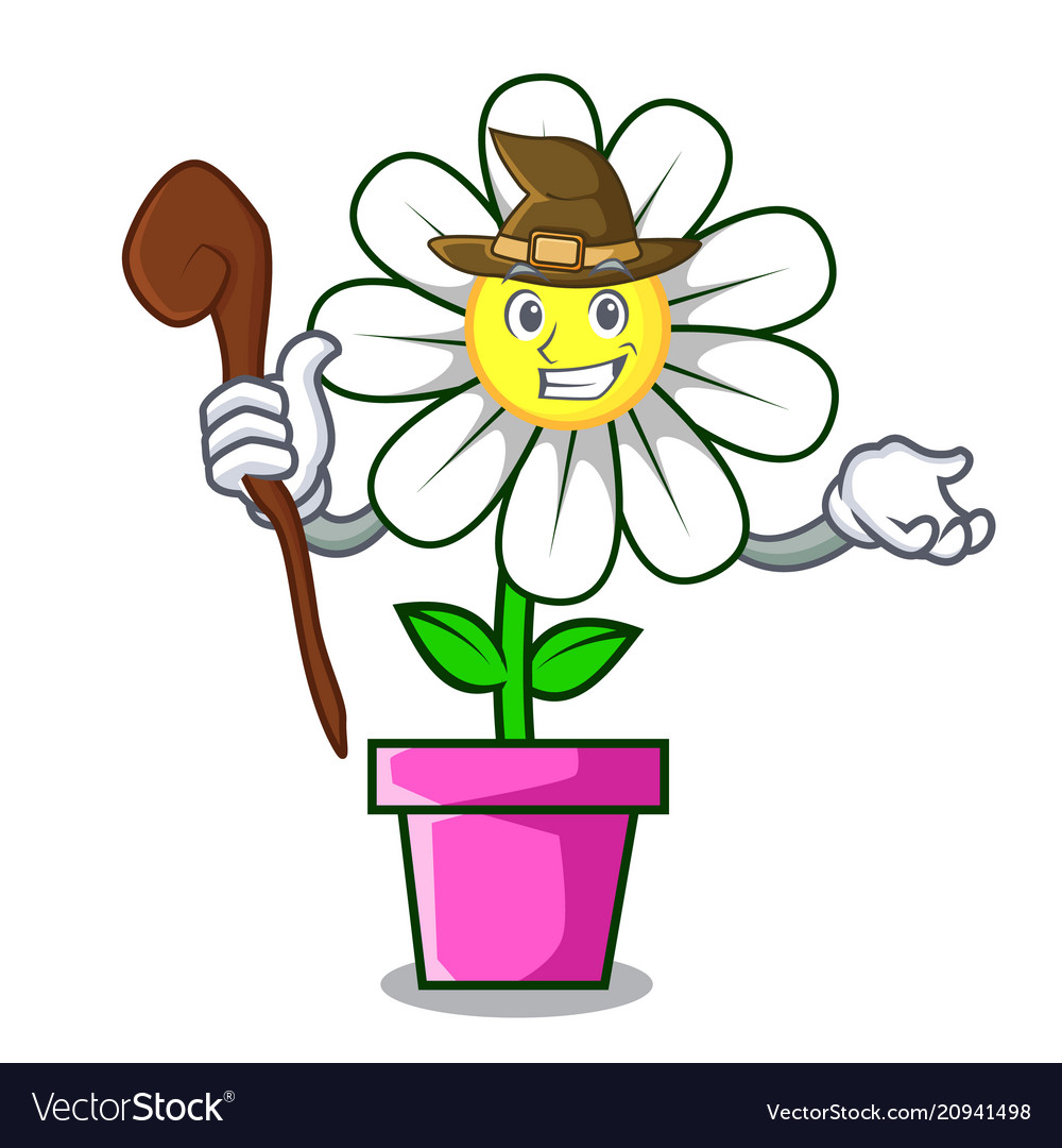 Witch daisy flower mascot cartoon Royalty Free Vector Image