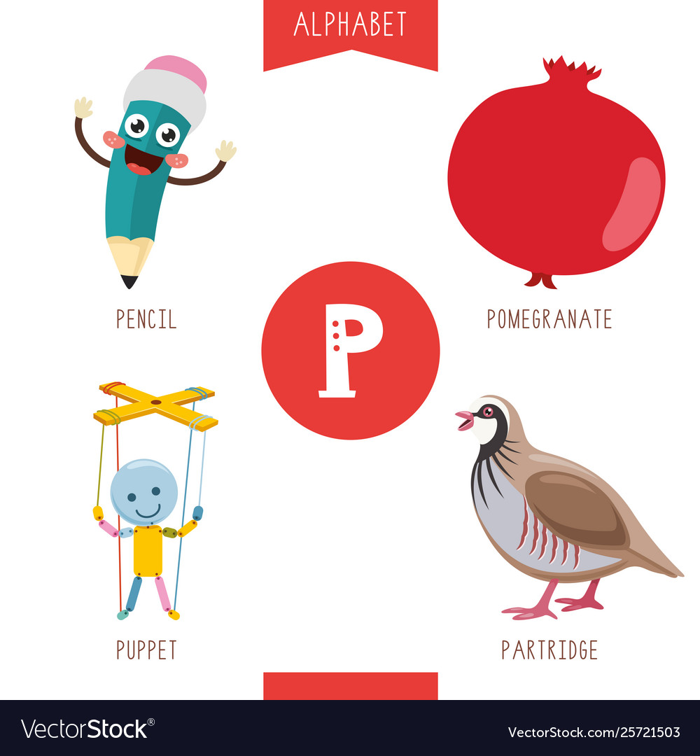 alphabet-letter-p-and-pictures-royalty-free-vector-image