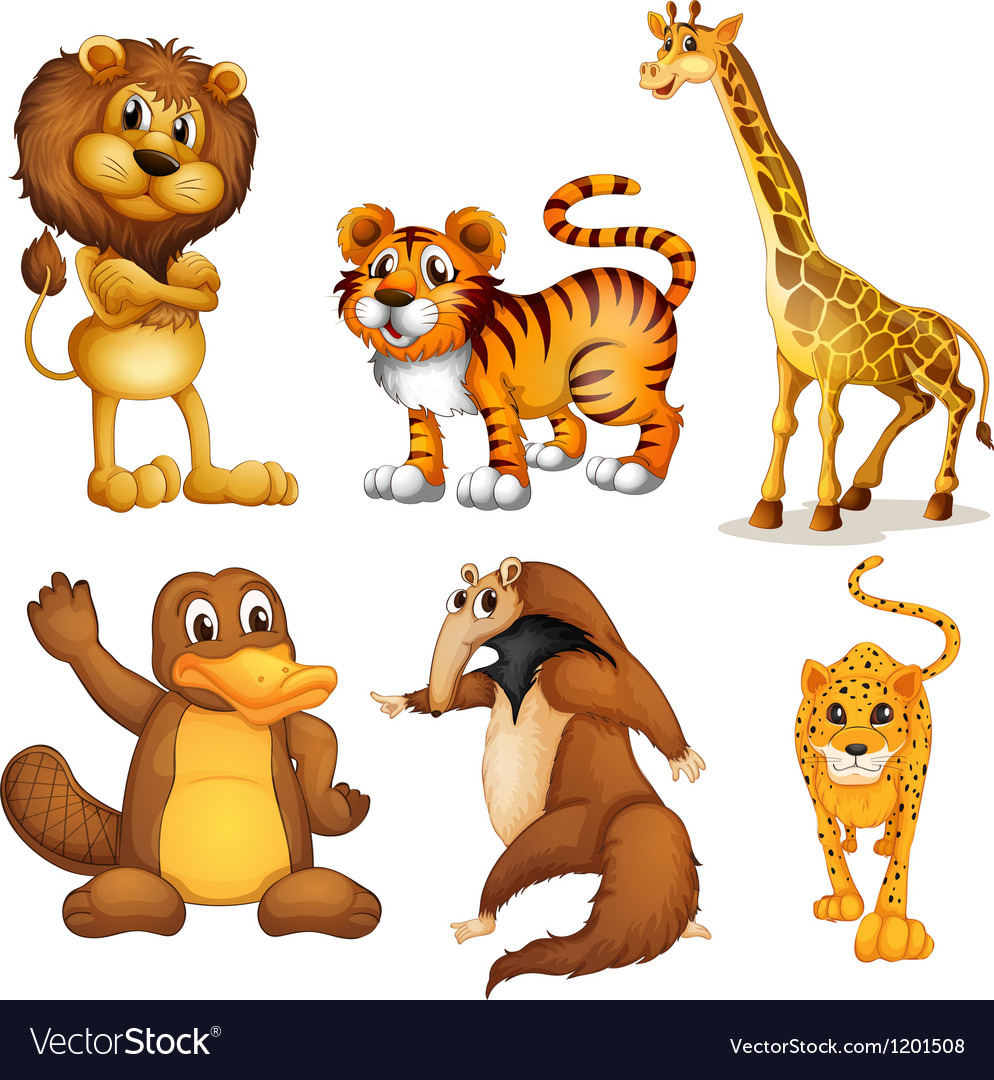 different-kinds-of-land-animals-royalty-free-vector-image