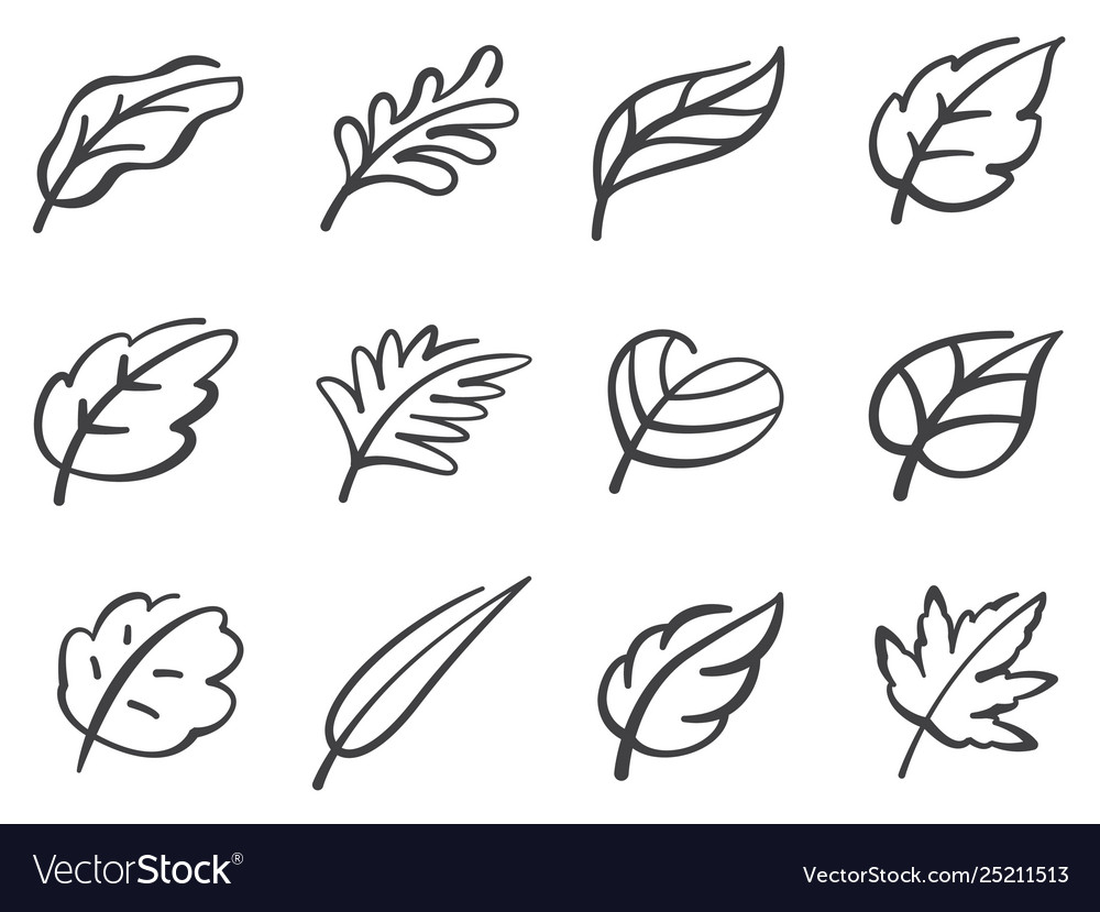 Leaves icon set vector image Leaves icon set