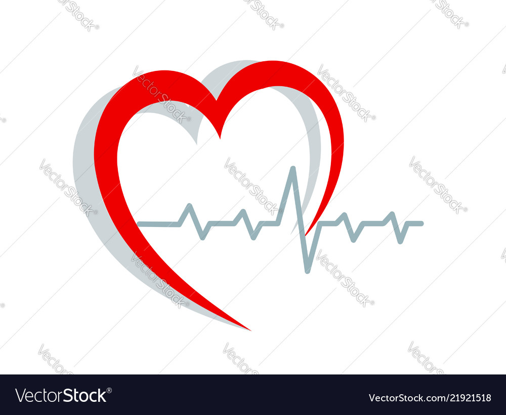 Red heart silhouette and cardiogram on white Vector Image