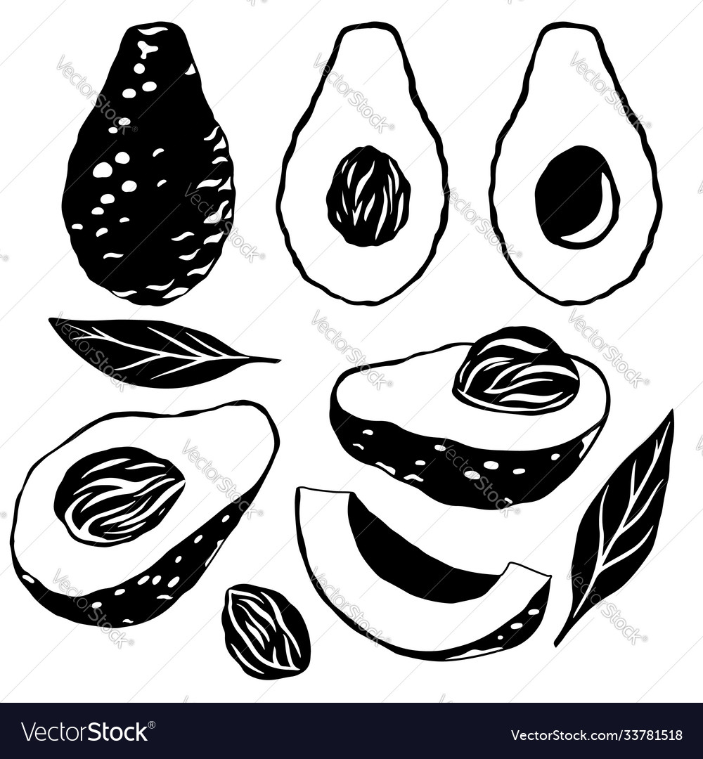 Set black silhouette avocados various elements Vector Image