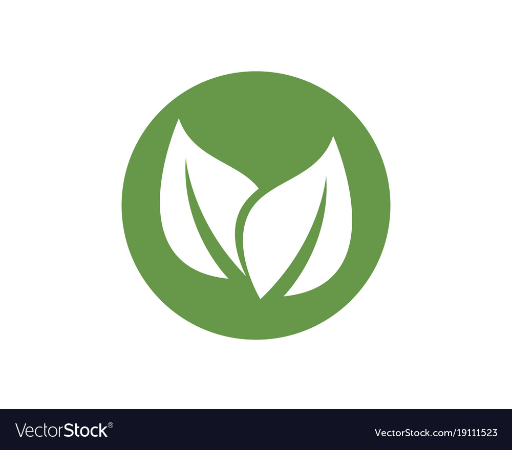 Leaf green nature logo and symbol template Vector Image