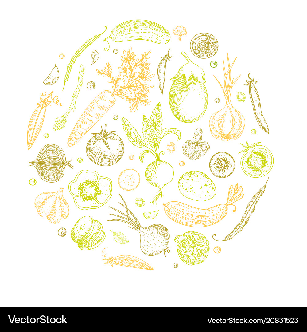 Vegetable hand drawn vintage Royalty Free Vector Image