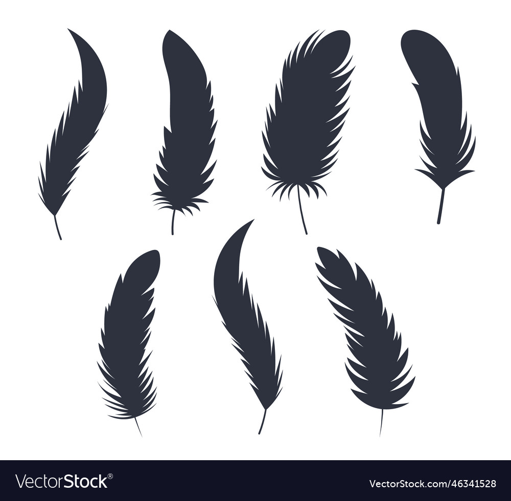 Feather silhouette Royalty Free Vector Image - VectorStock