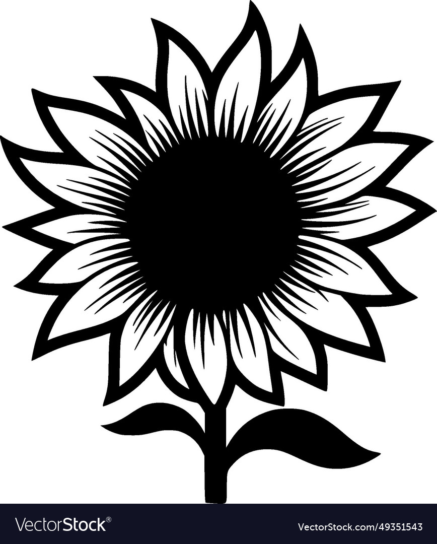 Sunflower - black and white Royalty Free Vector Image