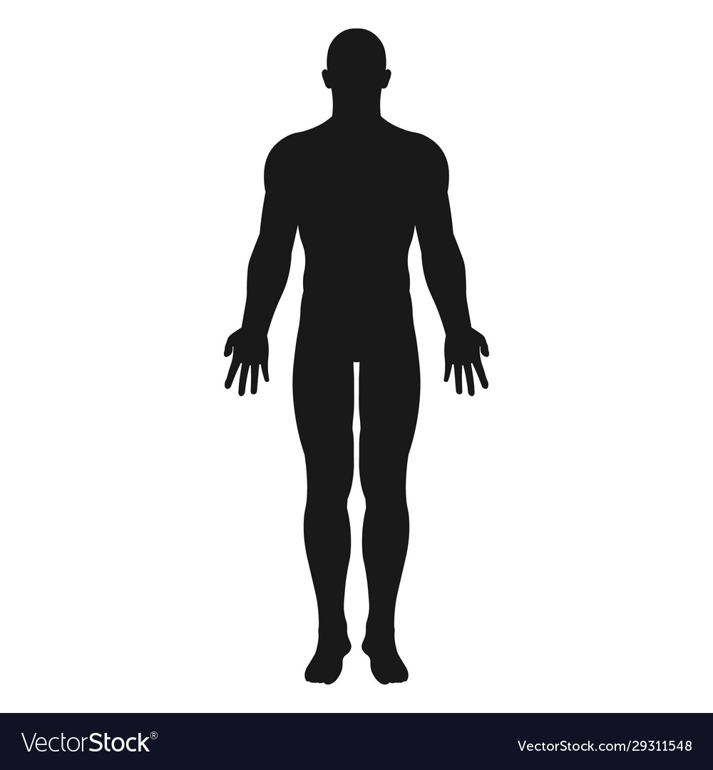 Human body icon flat design Royalty Free Vector Image