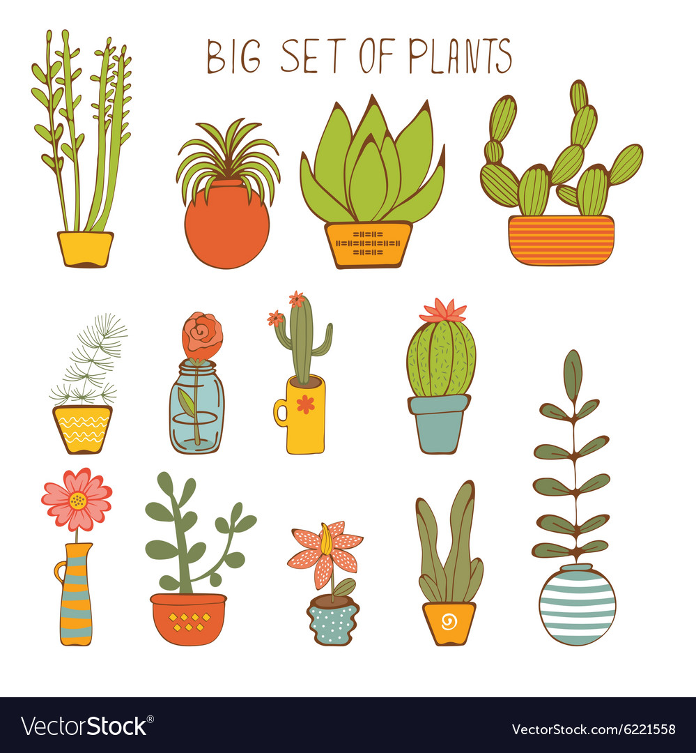 Get Pricey Houseplants For Free Bay On A Budget