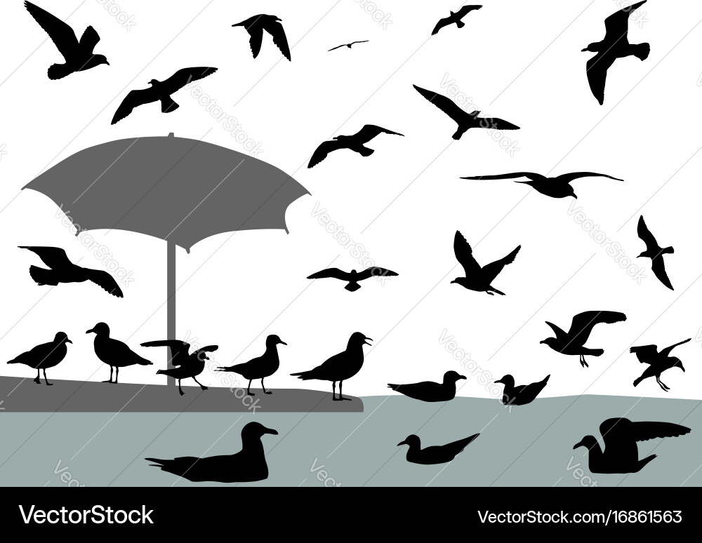 Gulls Royalty Free Vector Image - VectorStock