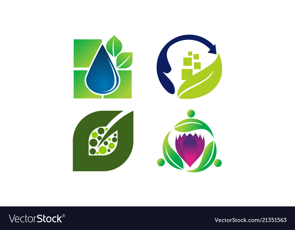 Leaf And Water Template Set Royalty Free Vector Image