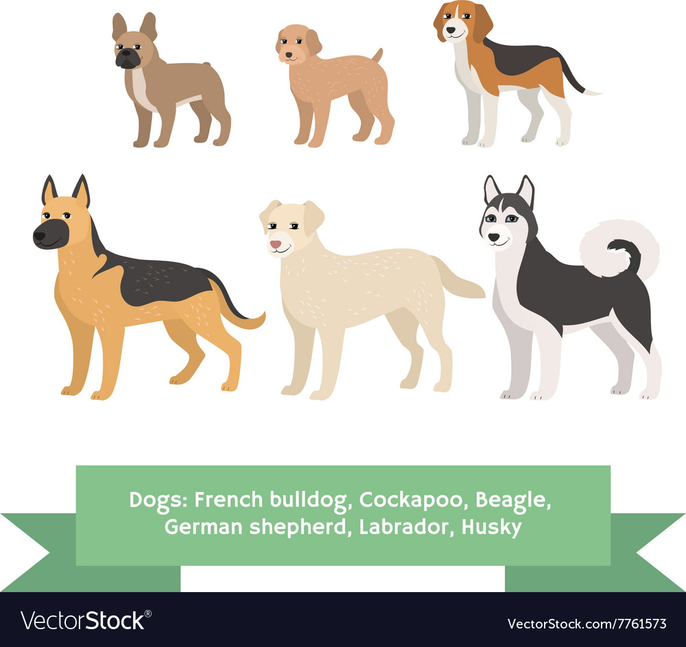 Dogs Breed Set With French Bulldog Cockapoo Beagle