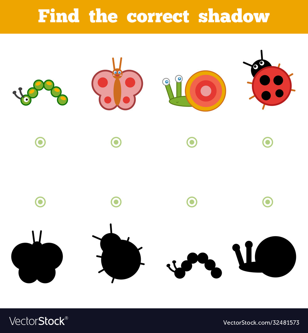 Find correct shadow game for children set Vector Image