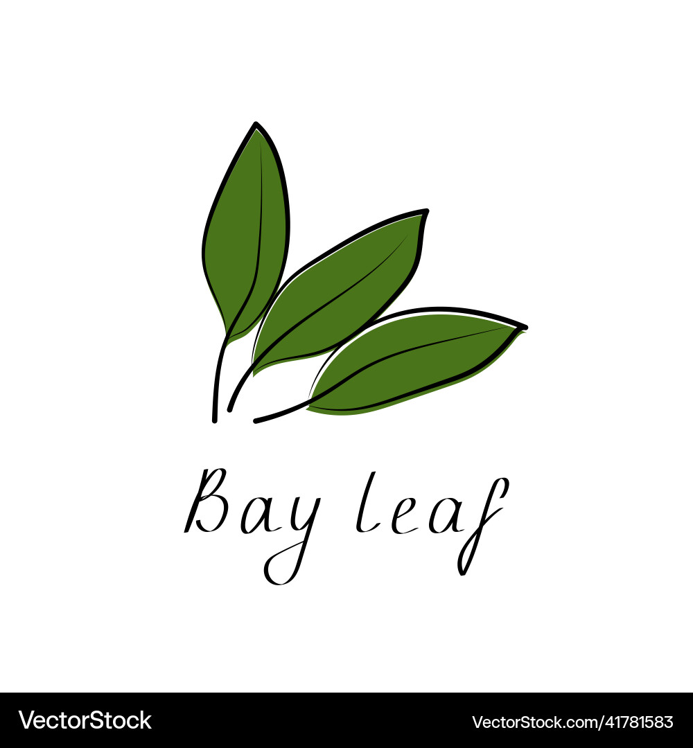 Bay leaf sign herb logo vegetarian Royalty Free Vector Image