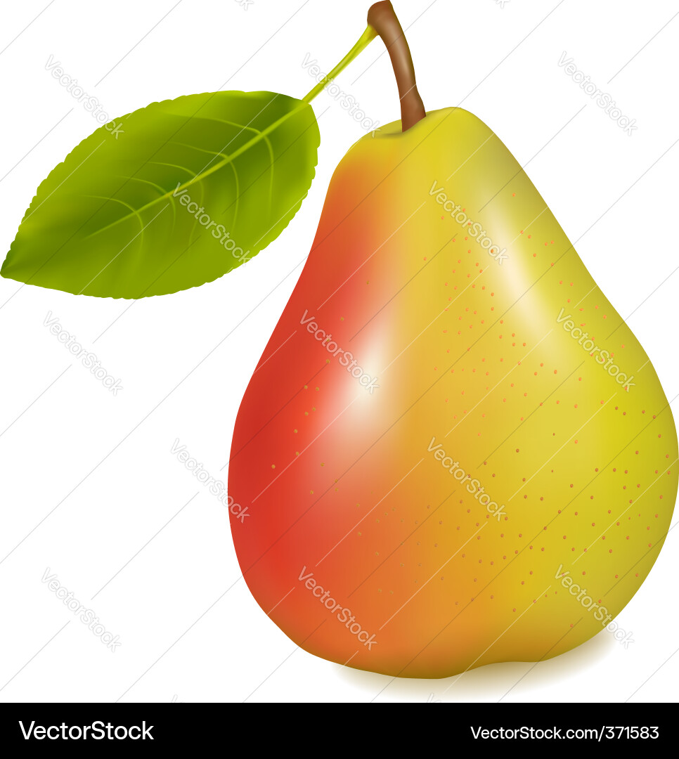 Pear with leaf Royalty Free Vector Image - VectorStock