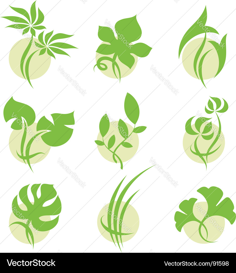 Leaves Royalty Free Vector Image - VectorStock