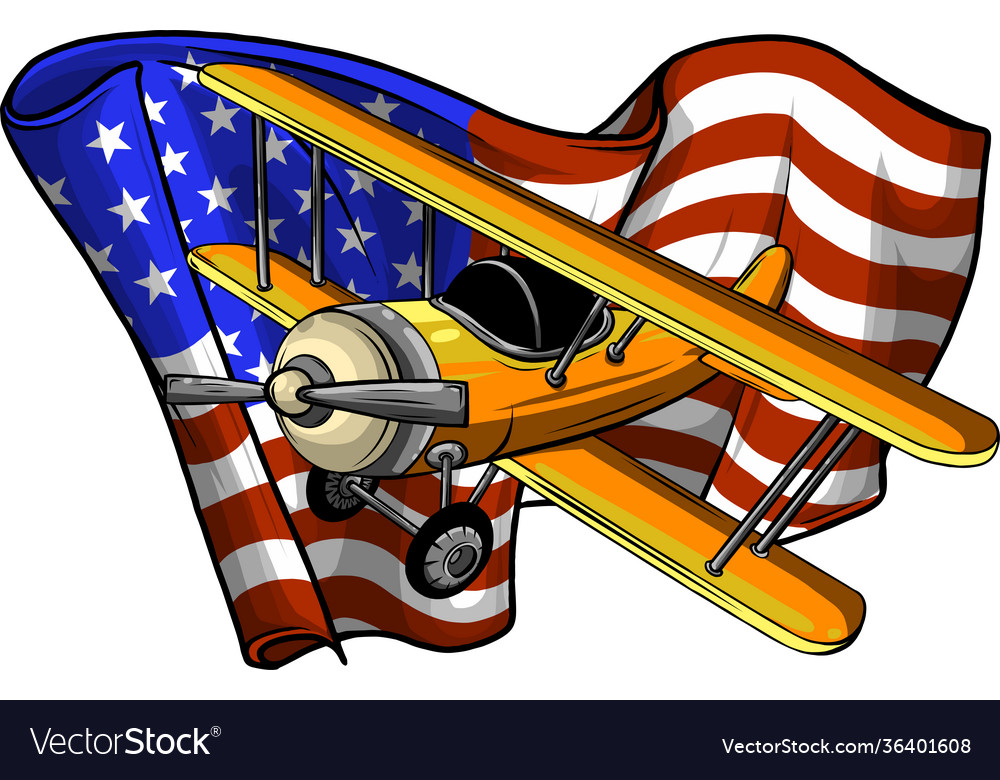 Cartoon airplane with america Royalty Free Vector Image