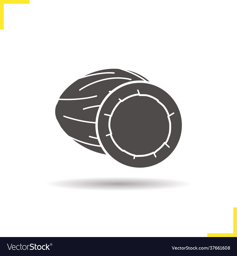 Coconut icon Royalty Free Vector Image - VectorStock