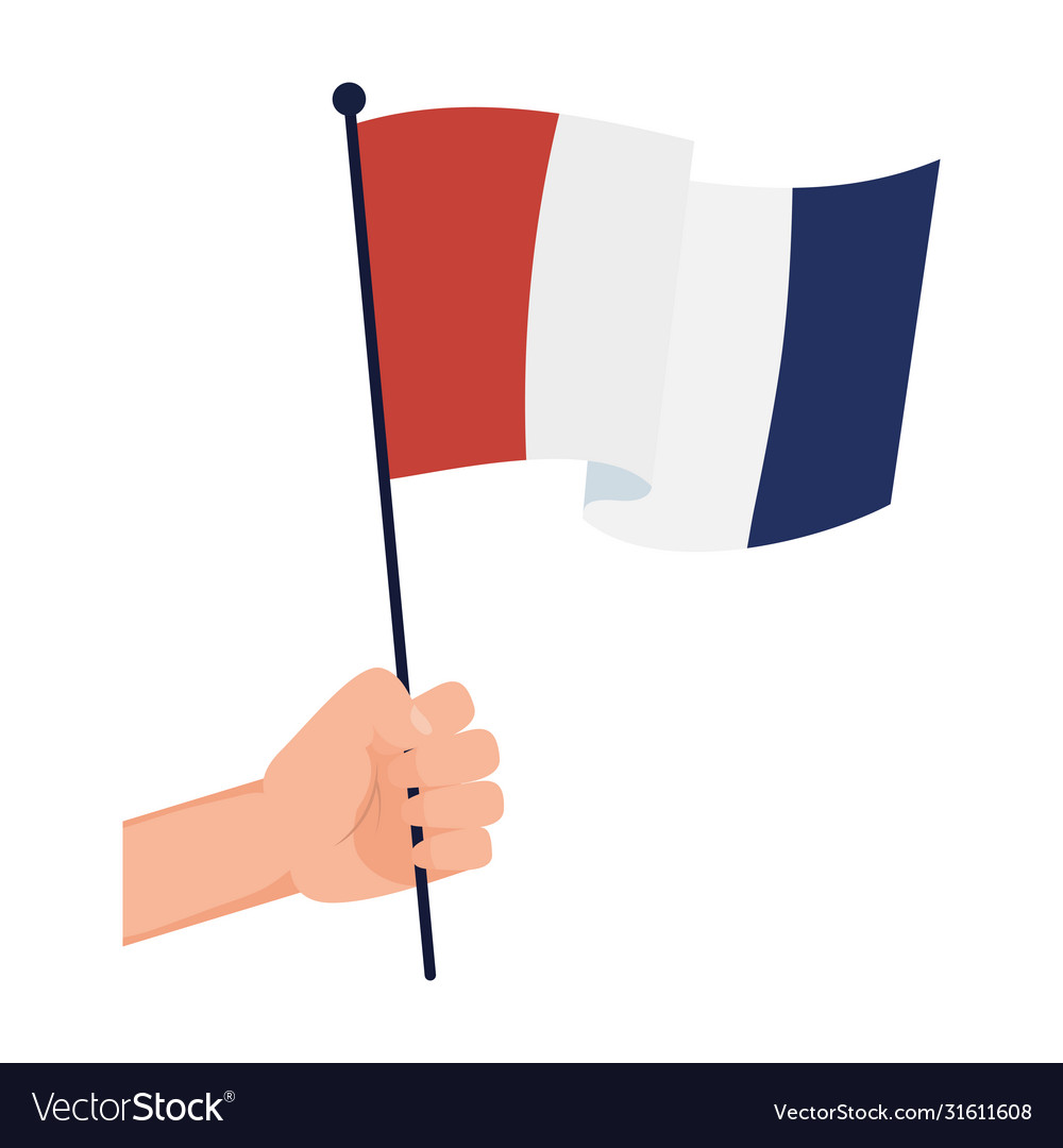 bastille day flag