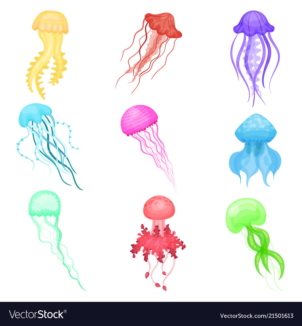 Flat set jellyfish different colors Royalty Free Vector