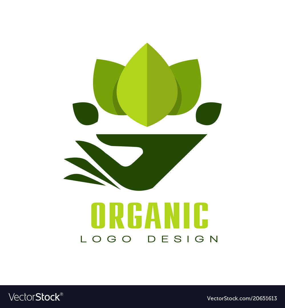 Organic Food Labels Natural Meal Fresh Products Logo Ecology Farm Bio Food  Vector Premium Badges Stock Illustration High-Res Vector Graphic - Getty  Images