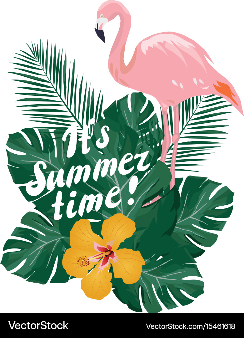 Summer time Royalty Free Vector Image - VectorStock