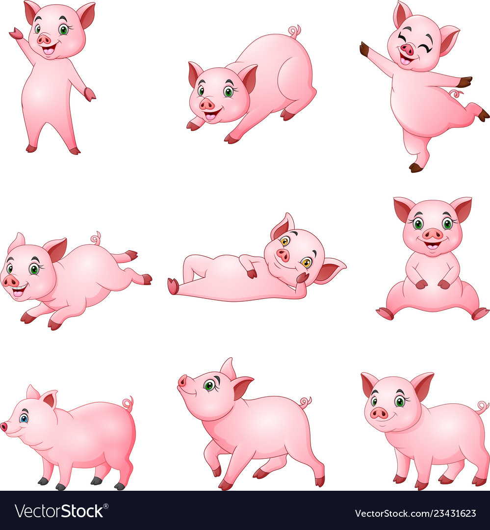 Cartoon little pigs collection with different posi Cartoon little pigs collection with different posi