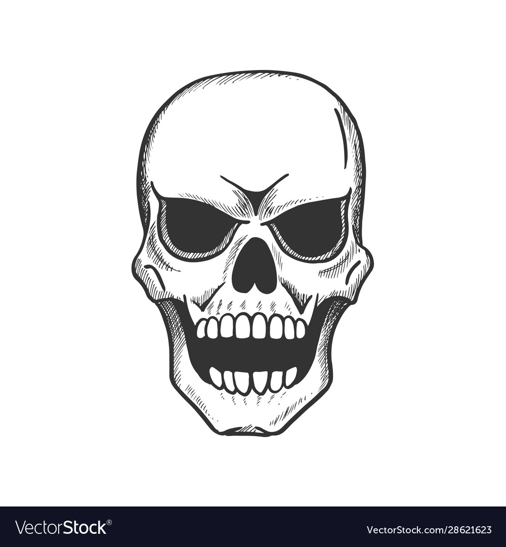 Skull Scary Human Skeleton Head Sketch Royalty Free Vector