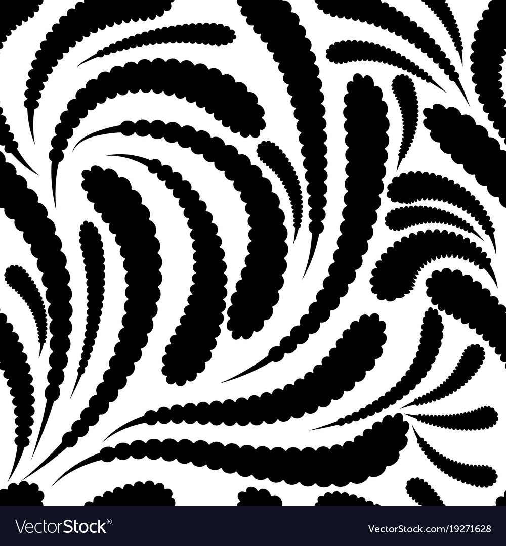 Black and white paisley seamless pattern Vector Image