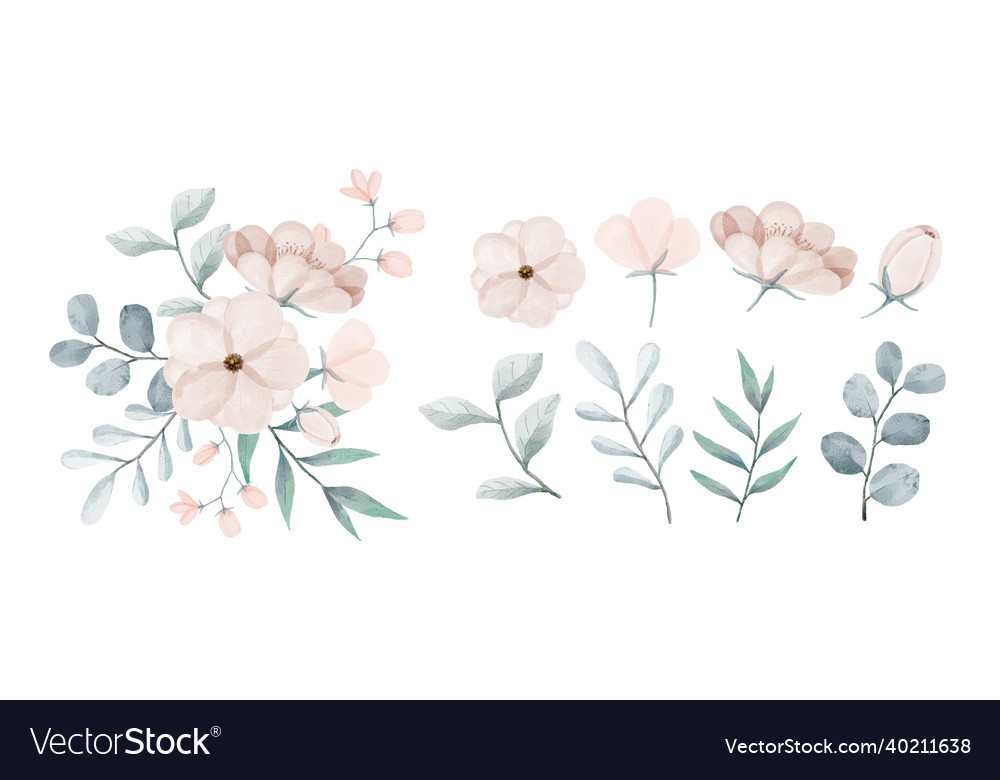 A set of flowers painted in watercolor Royalty Free Vector