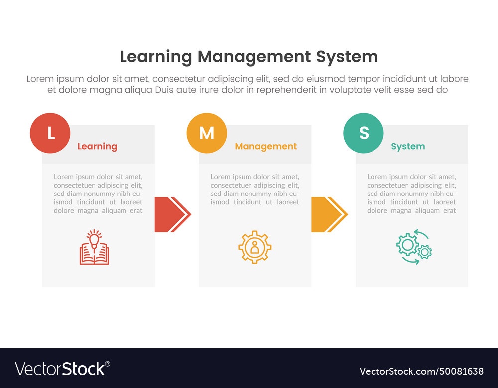 Lms learning management system infographic 3 Vector Image