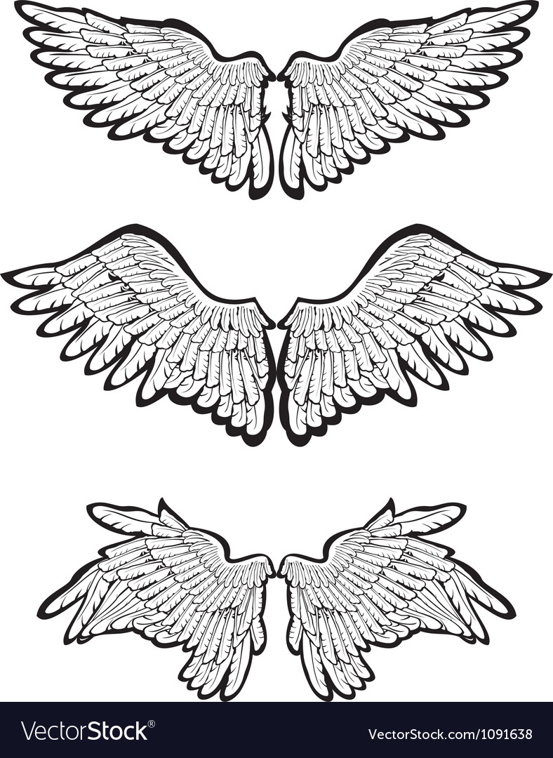 Set of wings