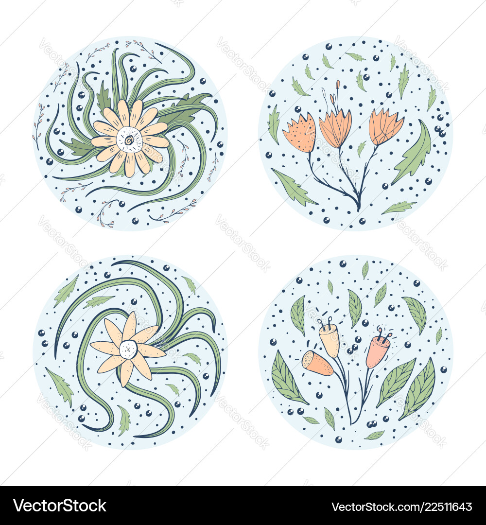 Flowers compositions Royalty Free Vector Image
