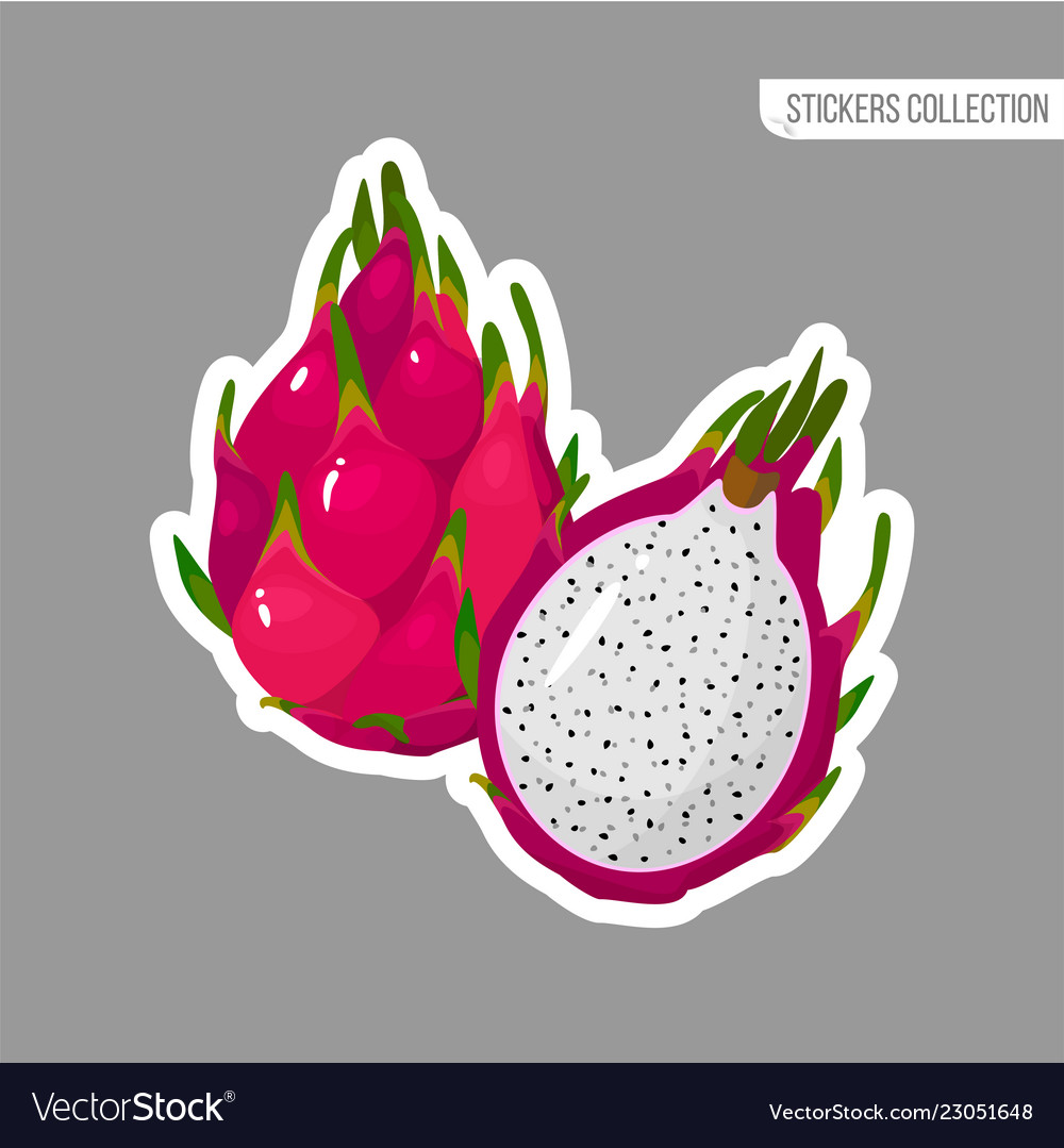 Cartoon fresh red dragon fruit isolated sticker