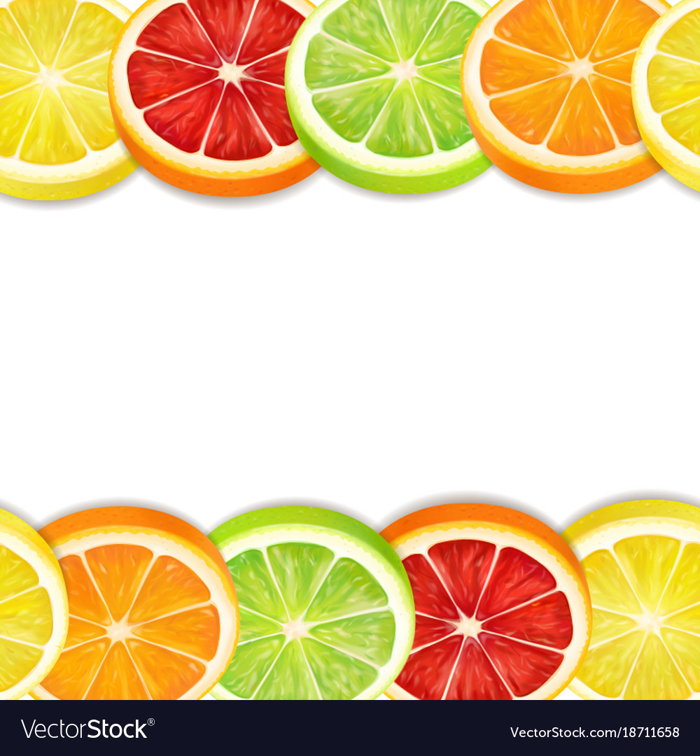 Citrus fruits slices seamless horizontal pattern Vector Image