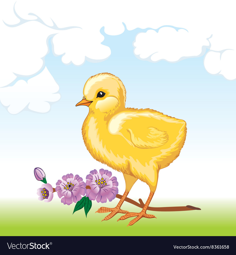 Cute bachick Royalty Free Vector Image - VectorStock