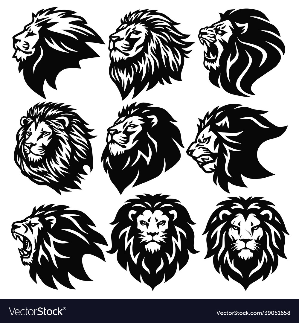 Lion logo set premium design collection Royalty Free Vector