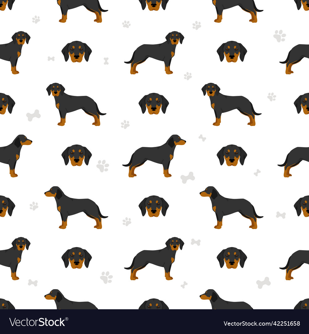 Slovakian hound coat colors different poses Vector Image