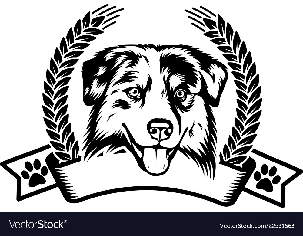 Australian shepherd dog breed isolated pet ribbon Vector Image