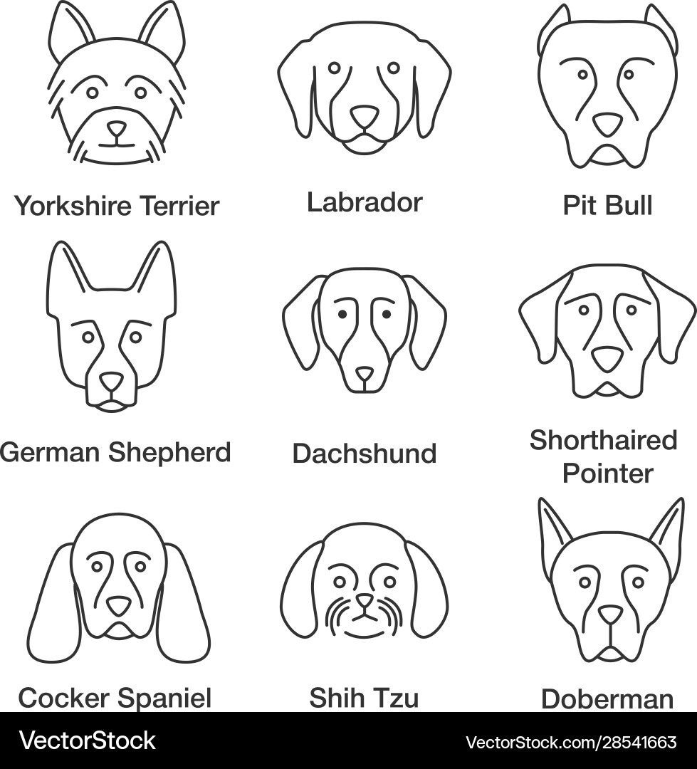 Dogs breeds linear icons set Royalty Free Vector Image