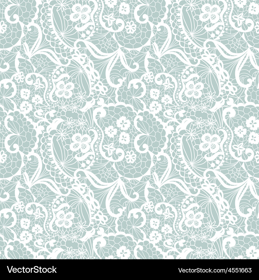 Lace seamless pattern with flowers Royalty Free Vector Image