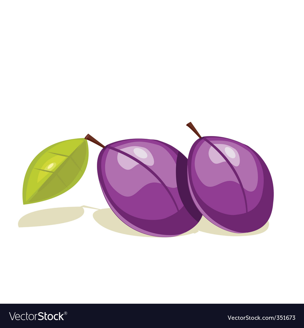 Plum Royalty Free Vector Image - VectorStock