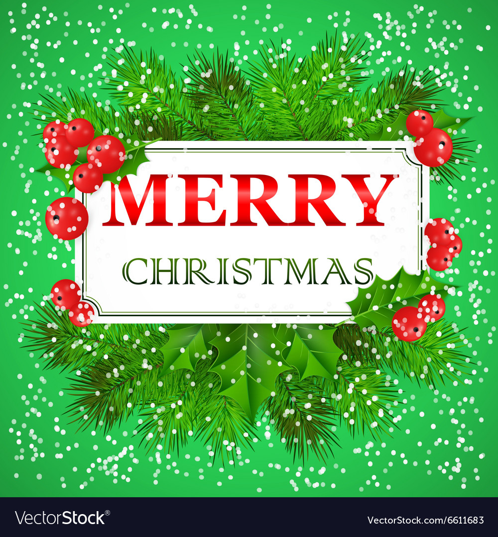 Merry christmas card design with holly and fir Vector Image