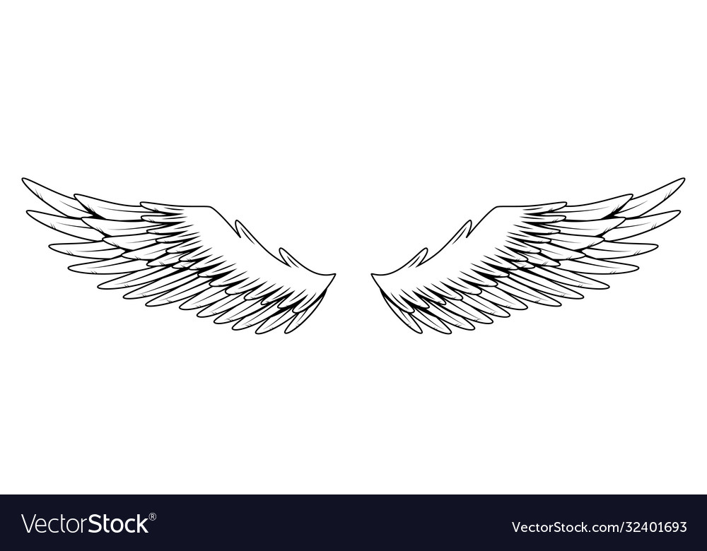 Vintage heraldic wings monochrome stylized birds Vector Image