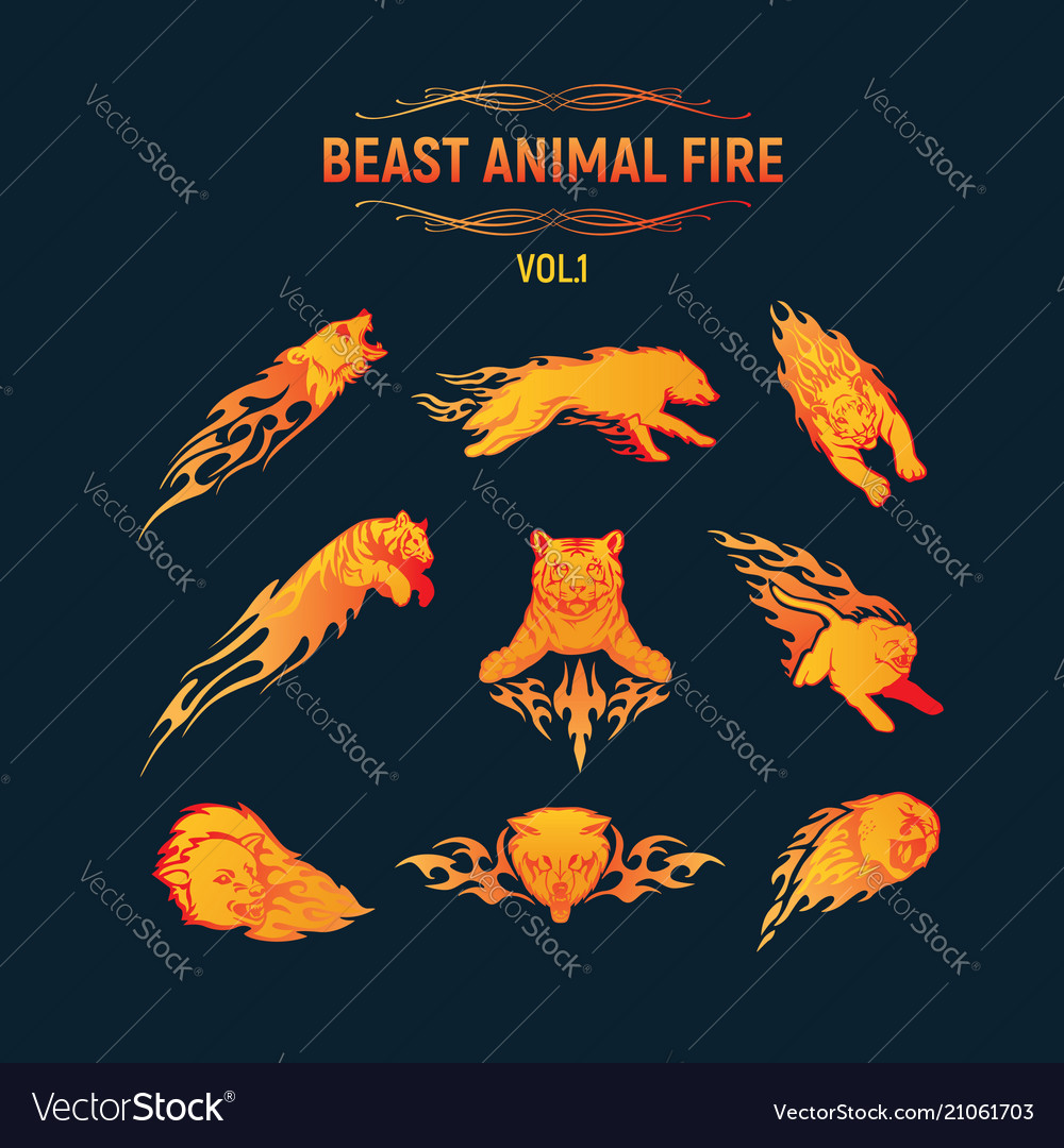 Beast Animal Flame Set Royalty Free Vector Image