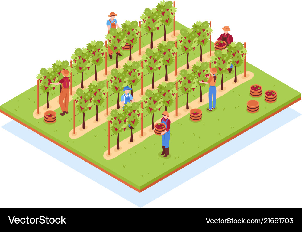 Winery isometric composition Royalty Free Vector Image