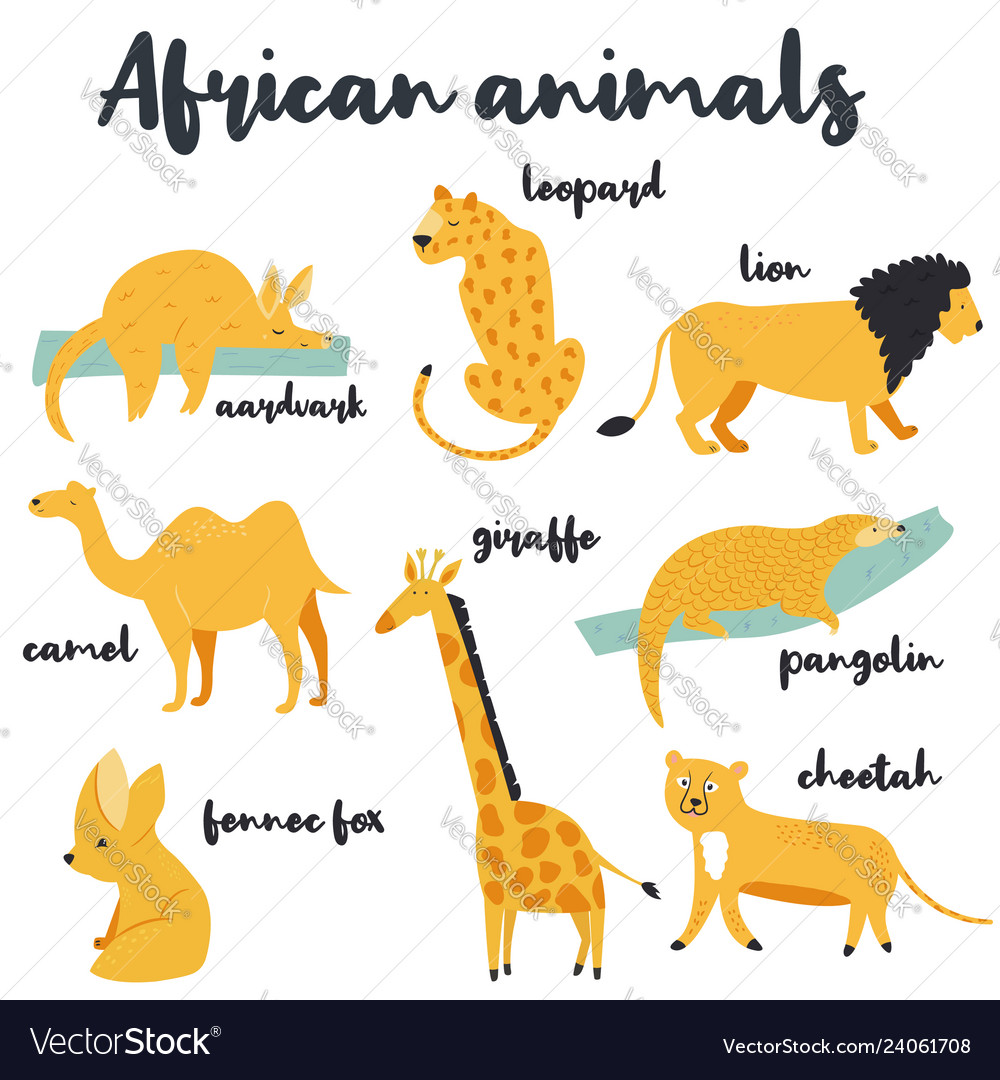 Big set of african animals on white background