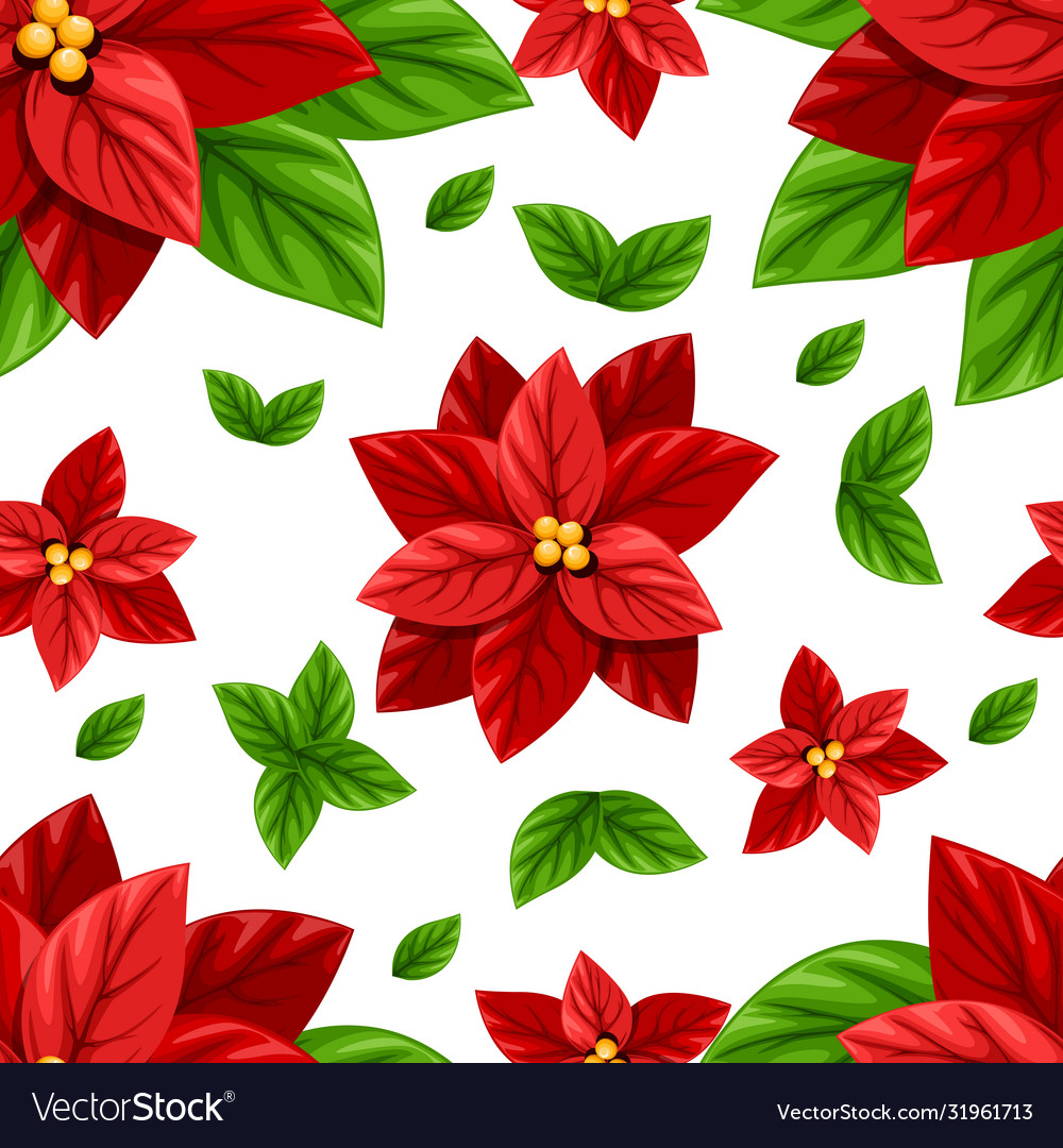 Beautiful red poinsettia flower and green leaves Vector Image