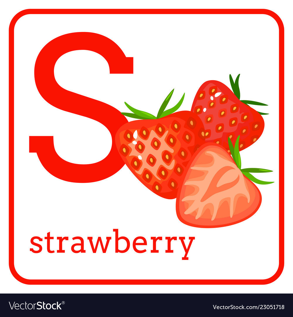 An Alphabet With Cute Fruits Letter S Strawberry Vector Image