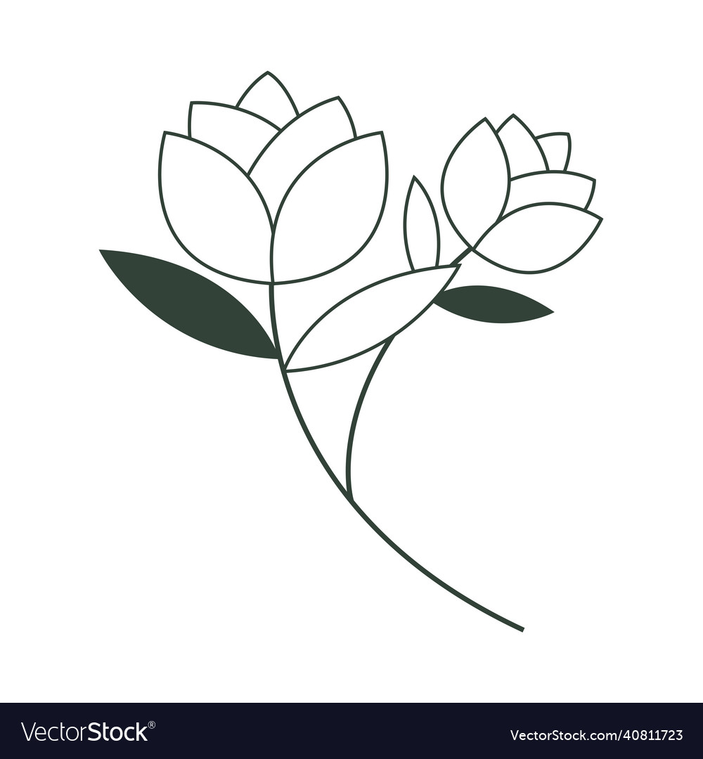 Delicate flowers nature Royalty Free Vector Image