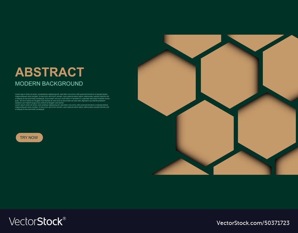 Hexagonal with shadow on background Vector Image Hexagonal with shadow on background